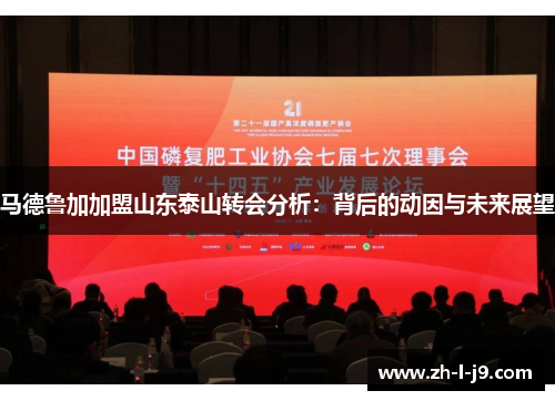 马德鲁加加盟山东泰山转会分析：背后的动因与未来展望